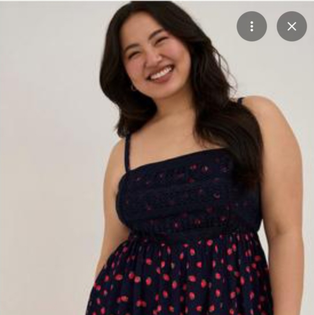 Torrid Blue and Red Lace Dress